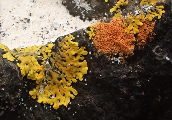 PA260139a.jpg